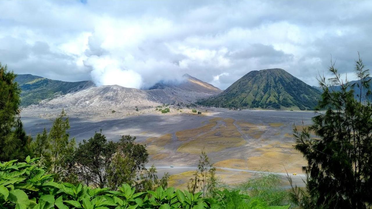Dannu'S Homestay Ijen And Bromo Tour バニュワンギ エクステリア 写真