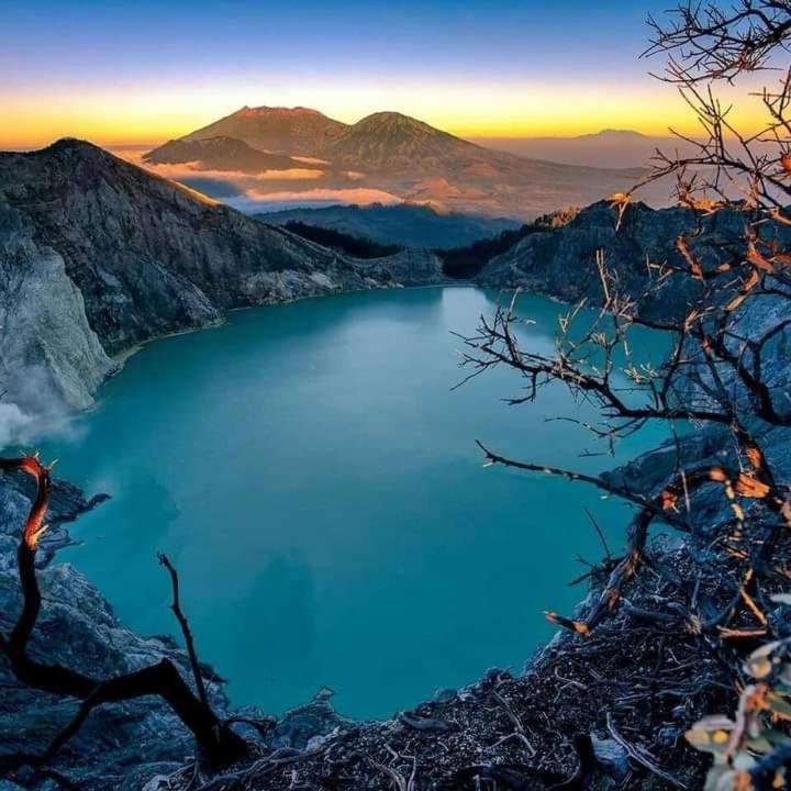Dannu'S Homestay Ijen And Bromo Tour バニュワンギ エクステリア 写真