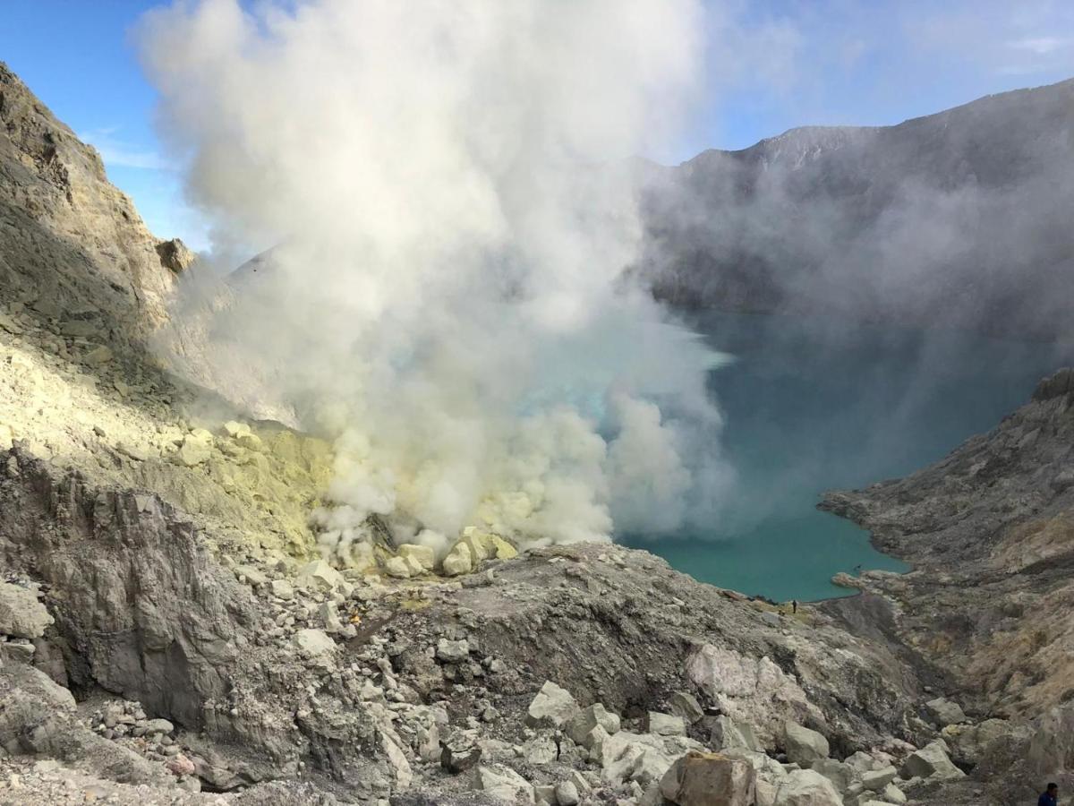 Dannu'S Homestay Ijen And Bromo Tour バニュワンギ エクステリア 写真