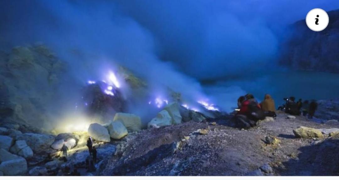 Dannu'S Homestay Ijen And Bromo Tour バニュワンギ エクステリア 写真