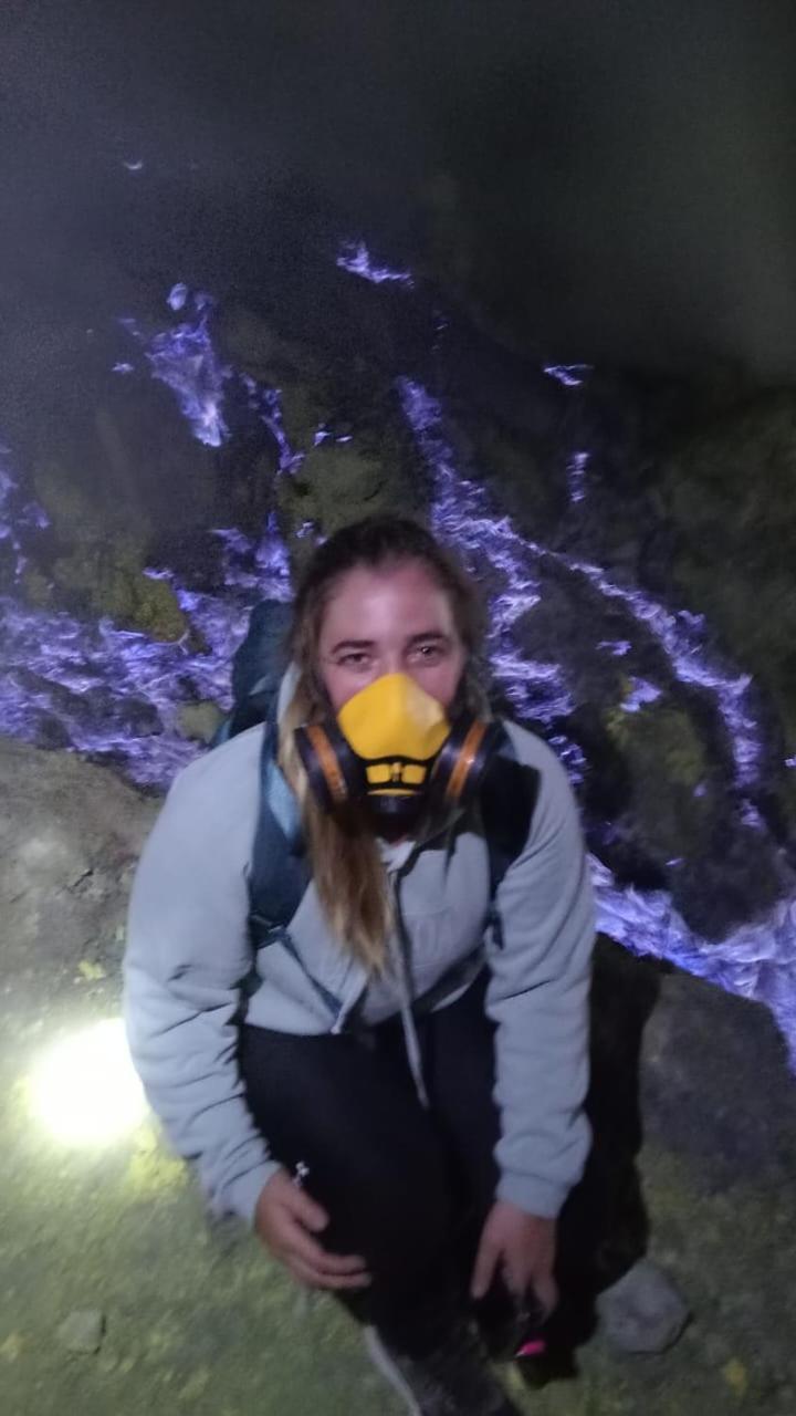 Dannu'S Homestay Ijen And Bromo Tour バニュワンギ エクステリア 写真